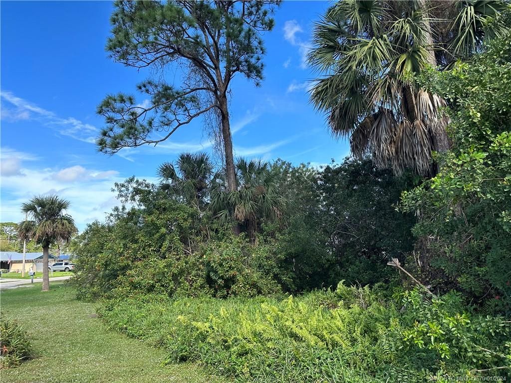 Photo of 5108 Birch Drive, Fort Pierce, FL 34982 (MLS # M20042570)