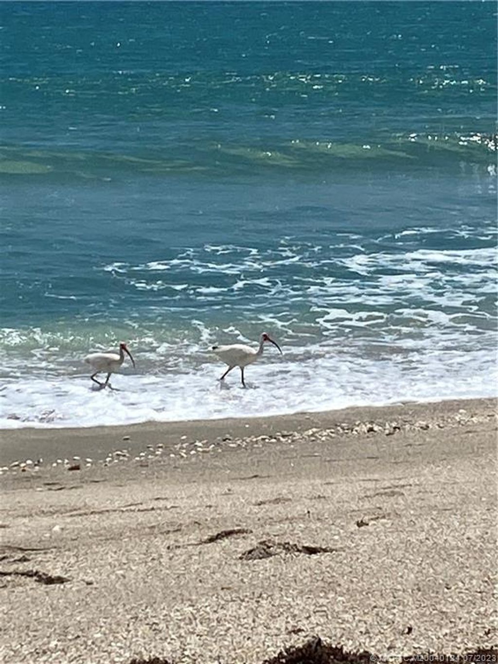 Photo of 11000 S Ocean Drive #6-G, Jensen Beach, FL 34957 (MLS # M20040124)