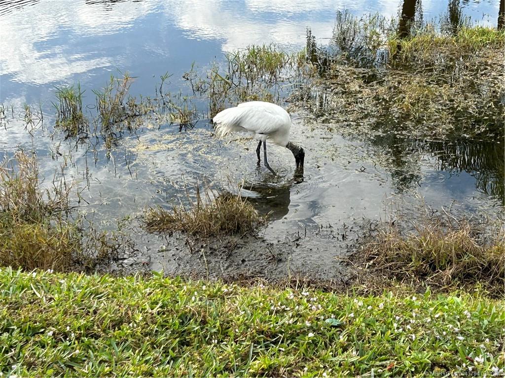 Stuart, Florida 34994, United States, 2 Bedrooms Bedrooms, ,2 BathroomsBathrooms,Residential,Pending,63305