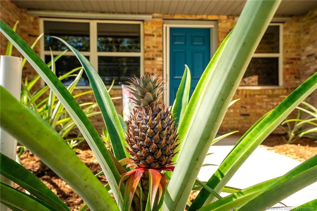 Photo of 2326 SE Saphire Terrace, Port Saint Lucie, FL 34952 (MLS # M20047323)