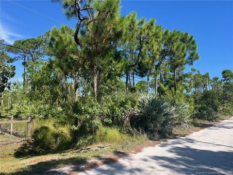 Photo of X Tree Top Trail, Fort Pierce, FL 34951 (MLS # M20051857)