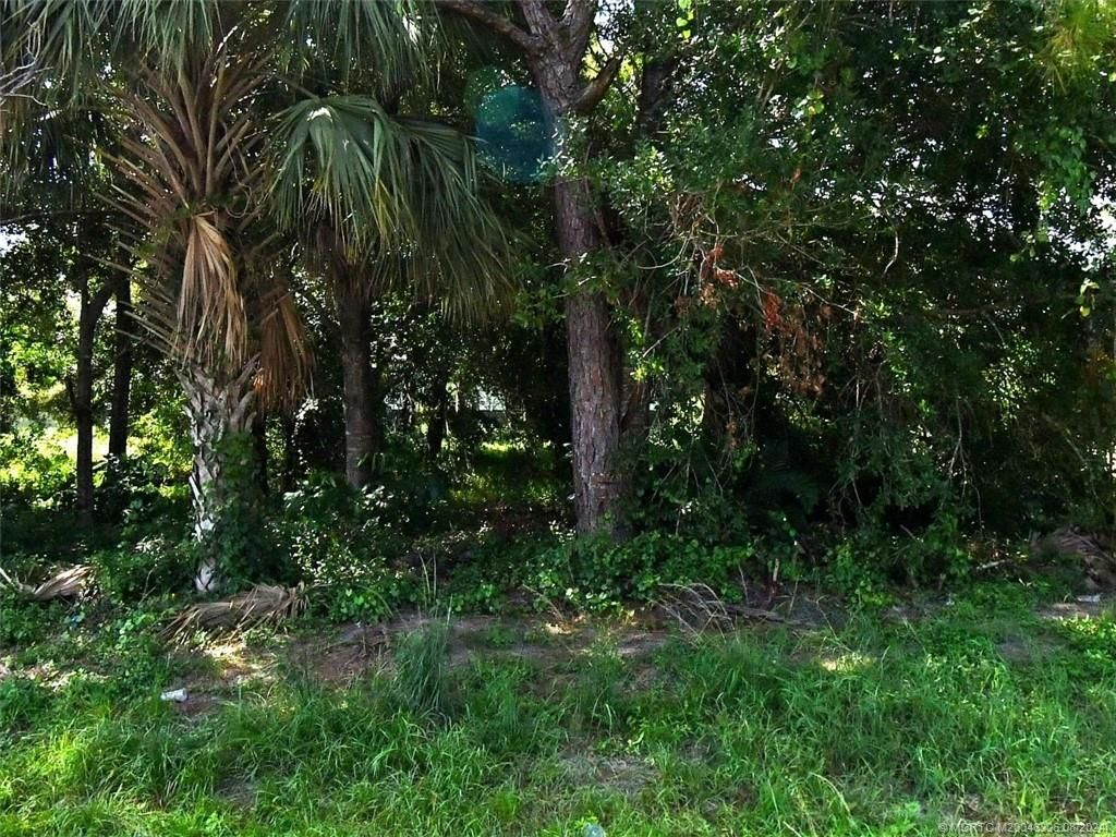 Photo of 1582 SE Minorca Avenue, Port Saint Lucie, FL 34952 (MLS # M20046306)