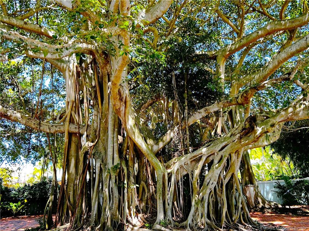 Stuart, Florida 34997, United States, 4 Bedrooms Bedrooms, ,3 BathroomsBathrooms,Residential,Active,94122