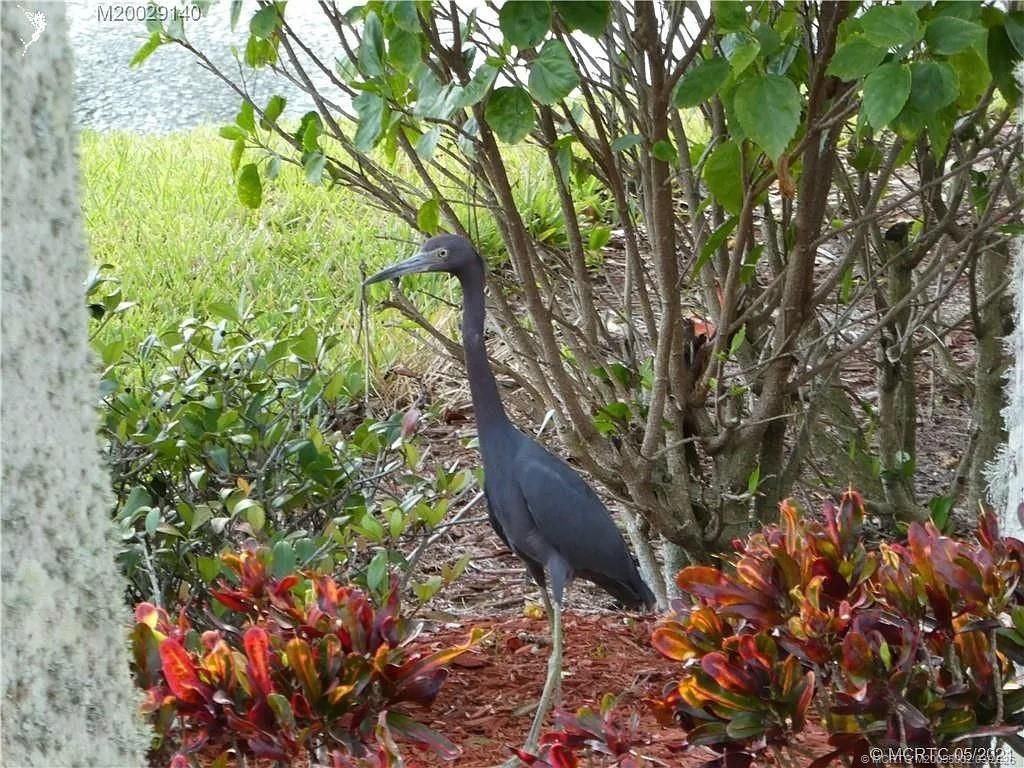 Photo of 219 NW Chipshot Lane, Port Saint Lucie, FL 34986 (MLS # M20055032)