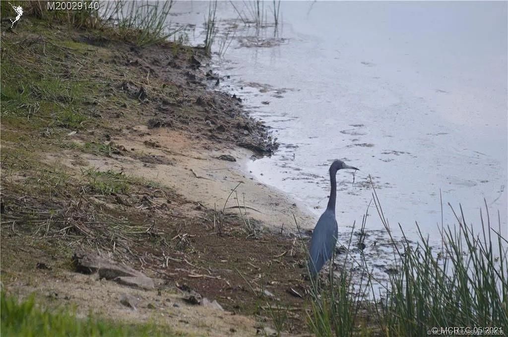 Photo of 219 NW Chipshot Lane, Port Saint Lucie, FL 34986 (MLS # M20055032)