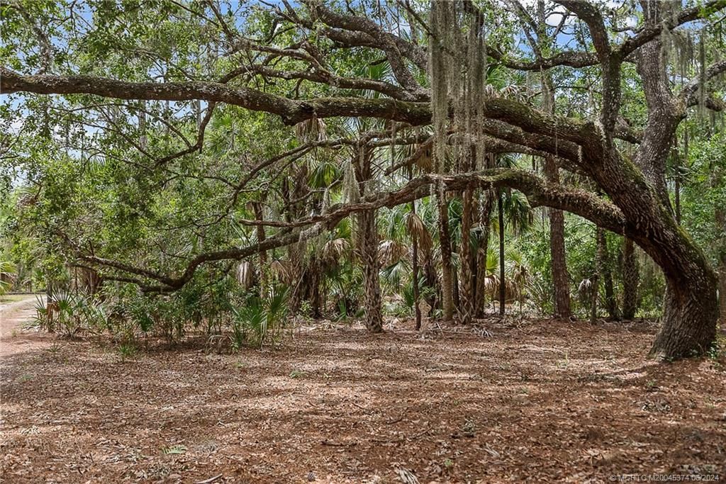 Photo of 11511 SW Citrus Boulevard, Palm City, FL 34990 (MLS # M20045374)