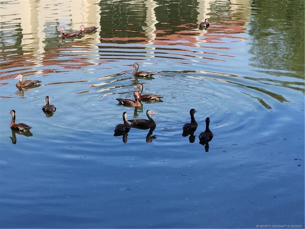 Photo of 2050 Oleander Boulevard #3-105, Fort Pierce, FL 34950 (MLS # M20044713)