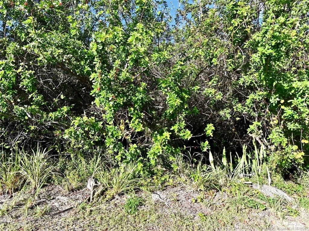 Photo of 0 River Palm Drive, Fort Pierce, FL 34946 (MLS # M20055539)