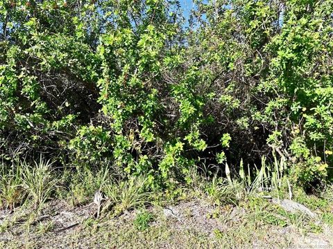 Photo of 0 River Palm Drive, Fort Pierce, FL 34946 (MLS # M20055539)