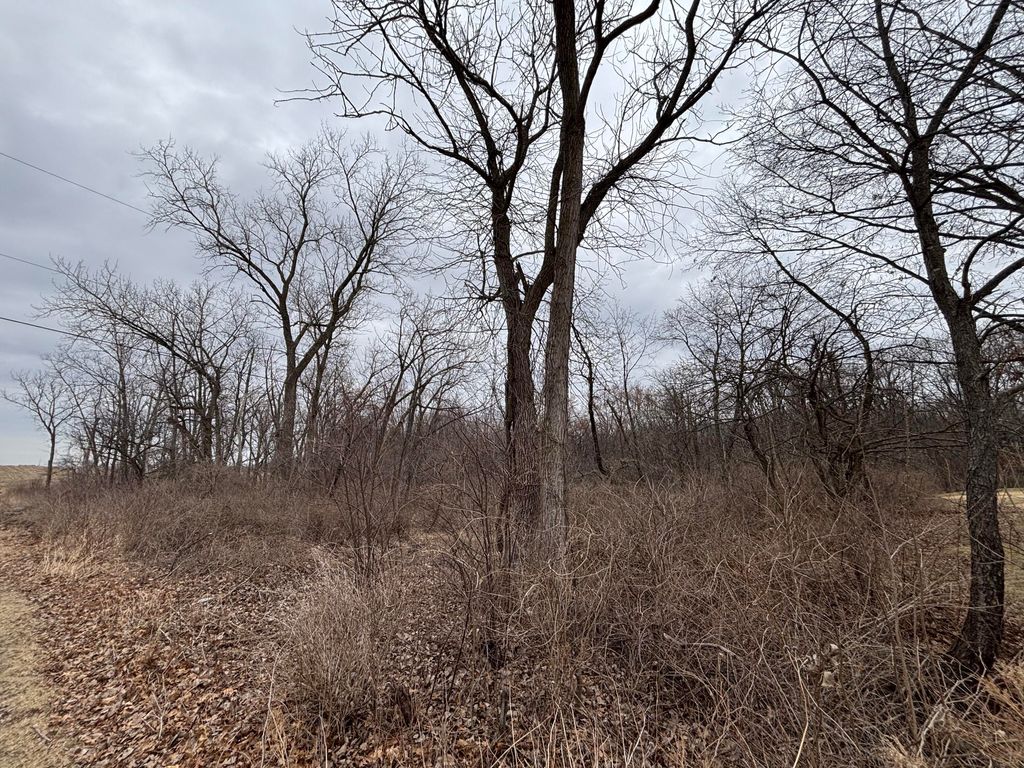 Photo of 11905 Mccook Street, Cedar Lake, IN 46303 (MLS # 835047)