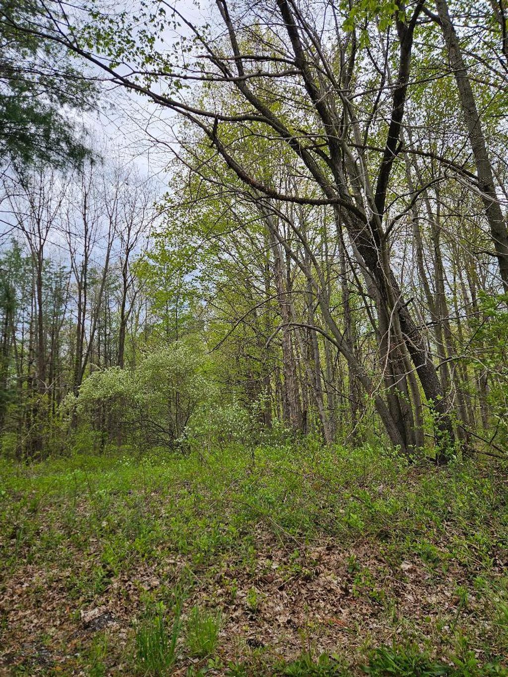 Photo of 0 W 900 N, Michigan City, IN 46360 (MLS # 838194)