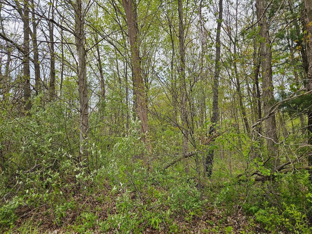 Photo of 0 W 900 N, Michigan City, IN 46360 (MLS # 838194)