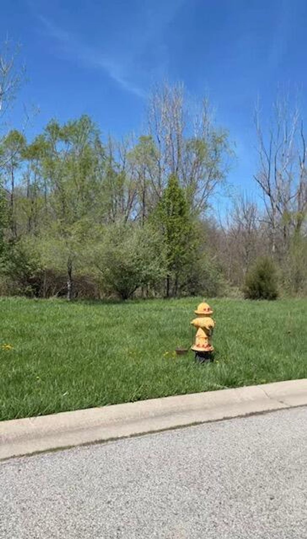 Photo of 17498-17500 Susan Lane, Lowell, IN 46356 (MLS # 837680)