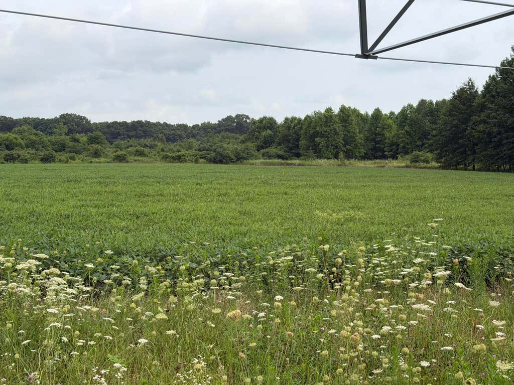 Photo of 7400 County Line Road, Grovertown, IN 46531 (MLS # 843818)