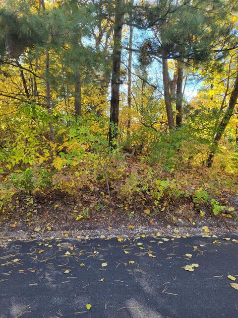 0 Chestnut Court Ogden Dunes IN 46368