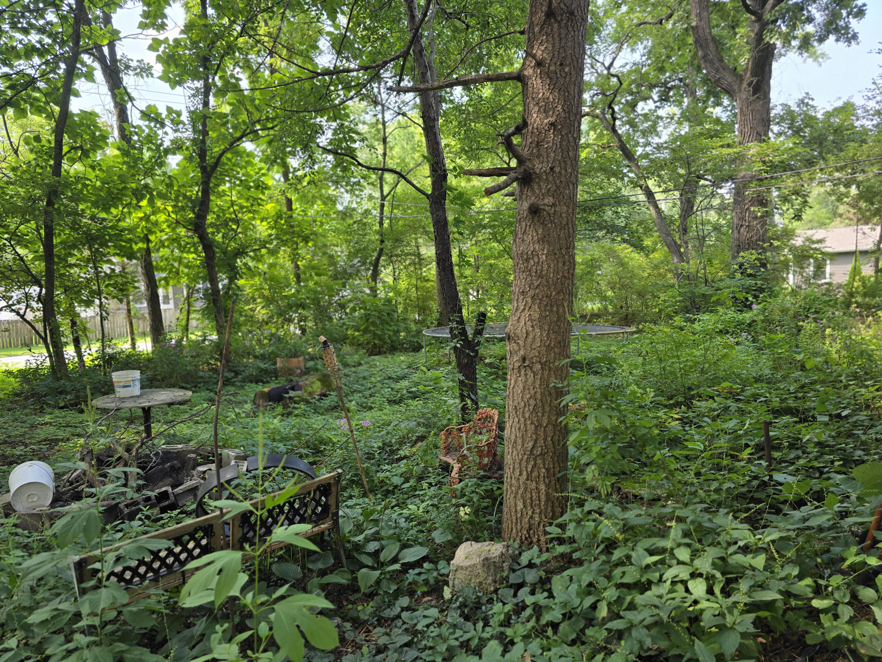 14403 Lauerman Street