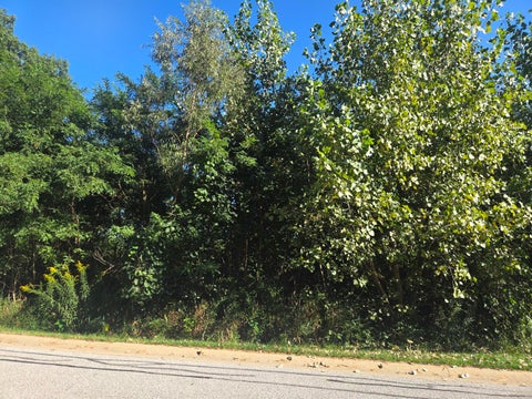 MLS: 845111