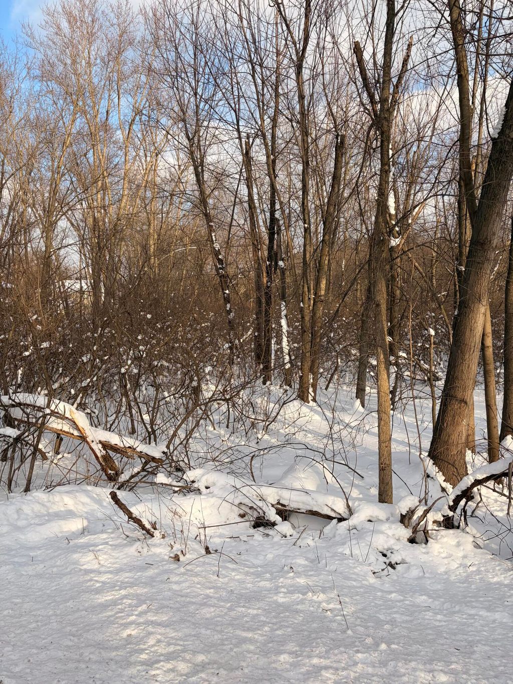 Photo of Tbd Union Avenue, Chesterton, IN 46304 (MLS # 833249)