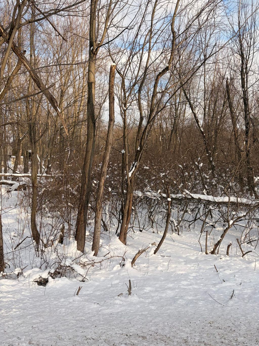 Photo of Tbd Union Avenue, Chesterton, IN 46304 (MLS # 833249)