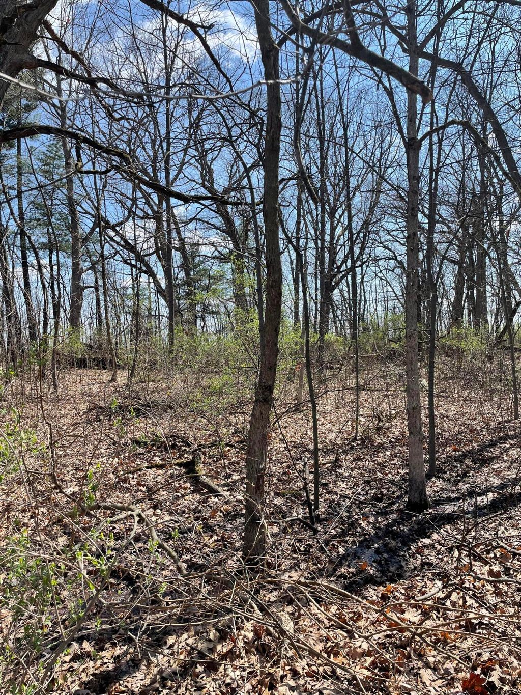 Photo of 500 Wildwood Avenue E, Cedar Lake, IN 46303 (MLS # 836819)