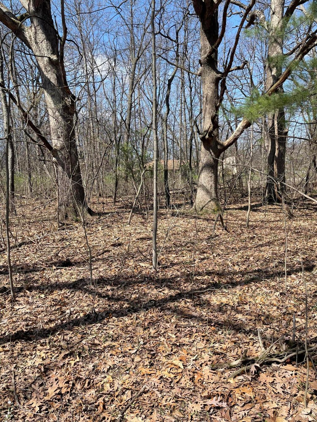 Photo of 500 Wildwood Avenue E, Cedar Lake, IN 46303 (MLS # 836819)