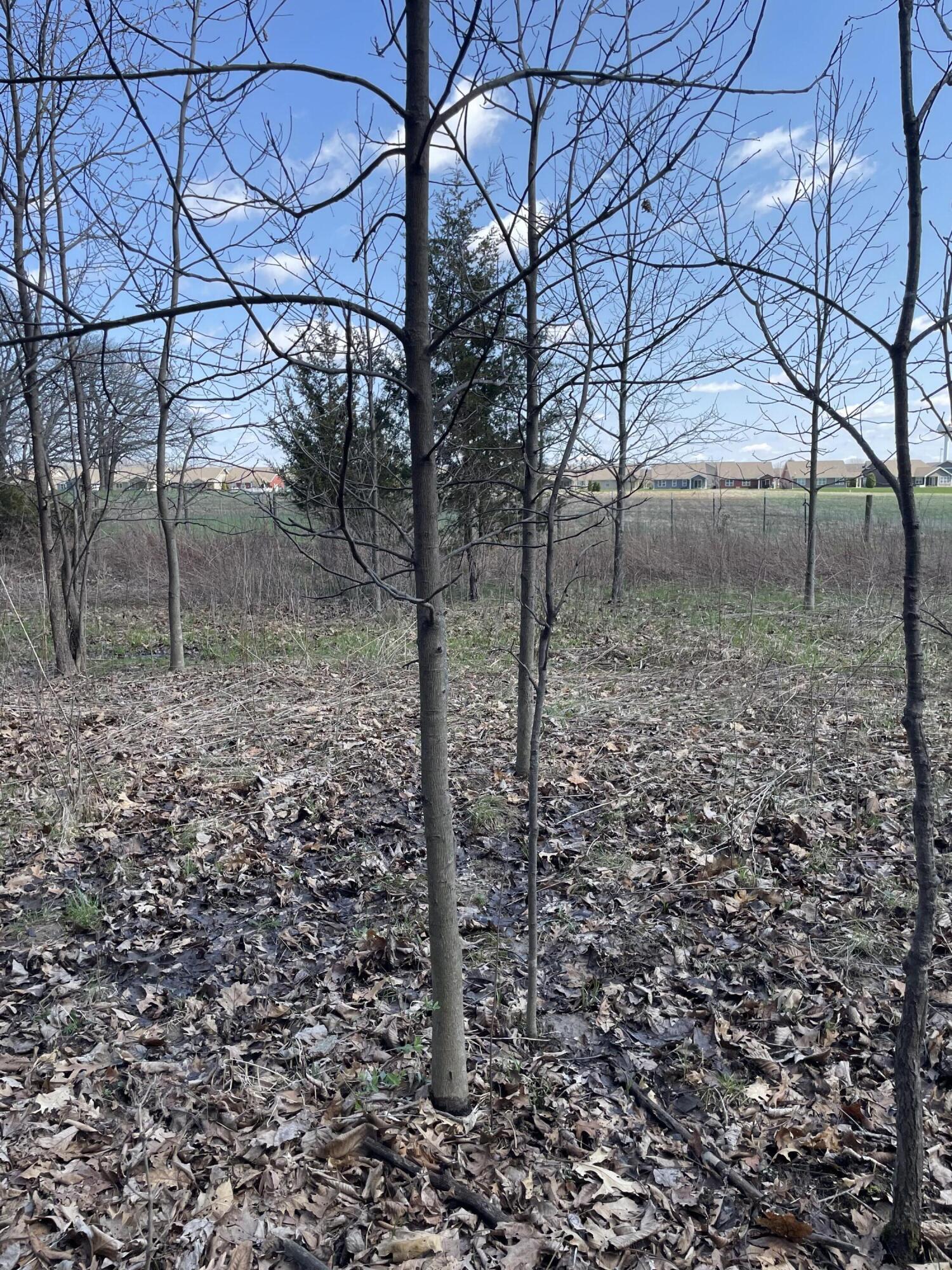 500 Wildwood Avenue E