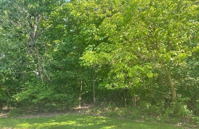 Photo of 106 W 133rd Avenue, Cedar Lake, IN 46303 (MLS # 844762)