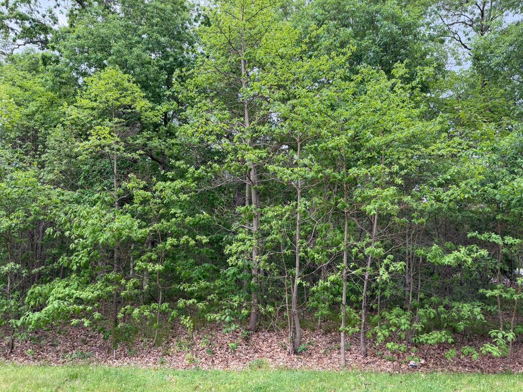 Photo of Vacant Lot 565 E, DeMotte, IN 46310 (MLS # 839242)