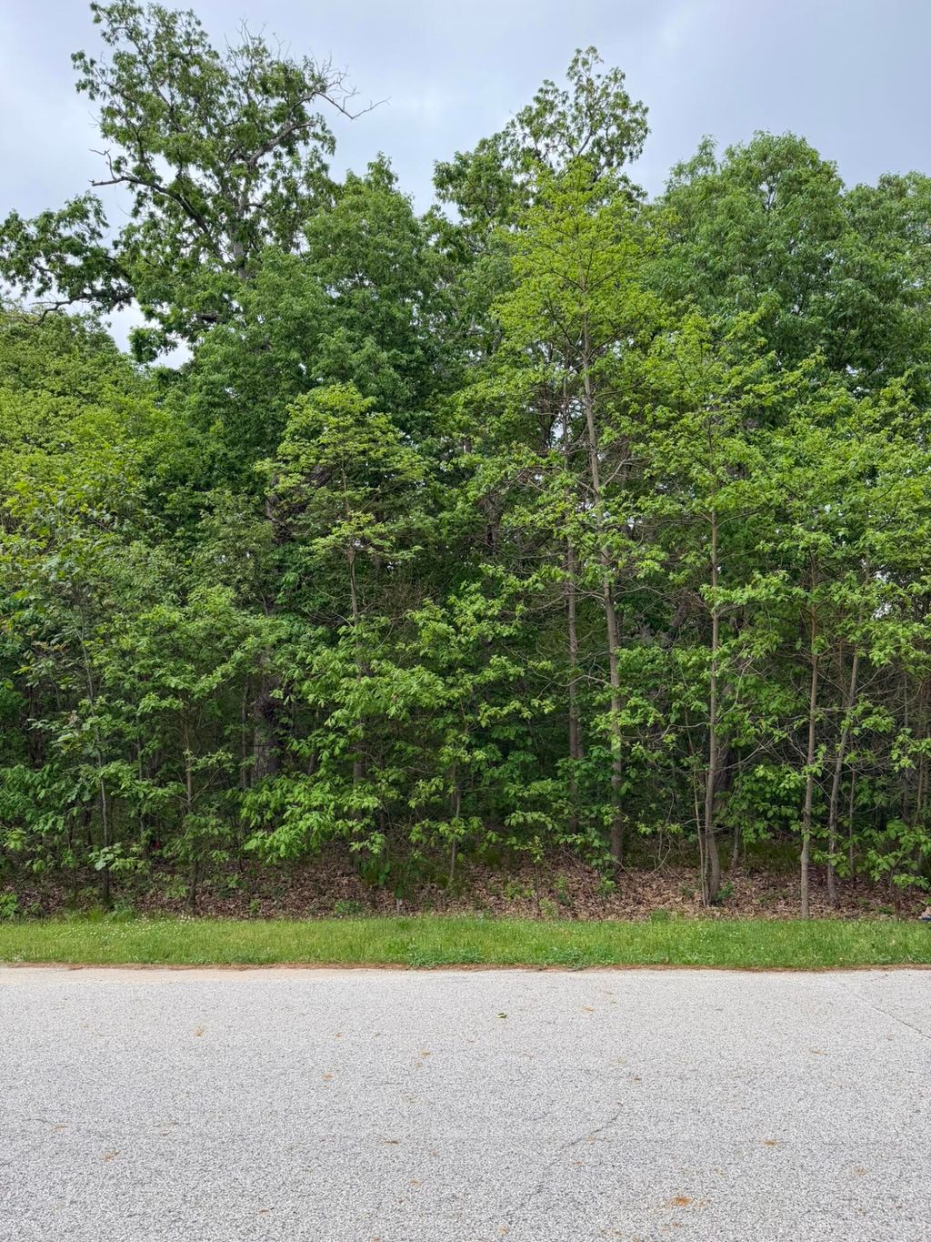 Photo of Vacant Lot 565 E, DeMotte, IN 46310 (MLS # 839242)