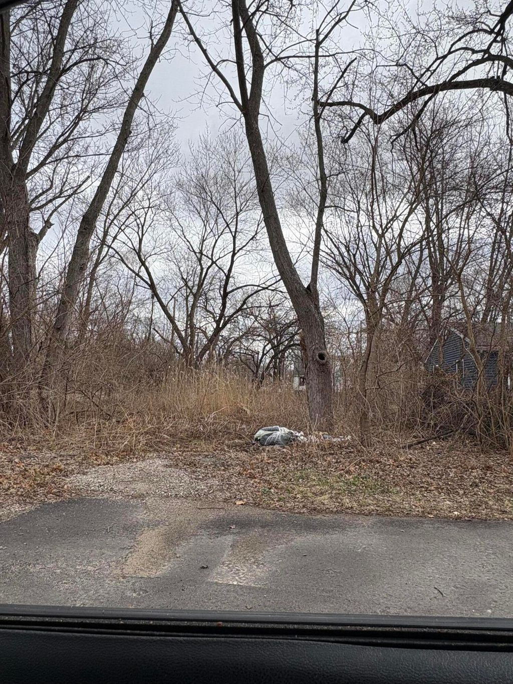 Photo of 4401 Mckinley Street, Gary, IN 46408 (MLS # 835422)