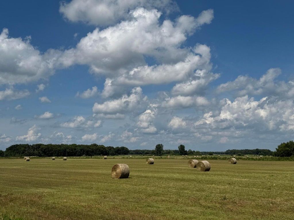 Photo of 8165-8221 N St Rd 55, Lake Village, IN 46349 (MLS # 832522)