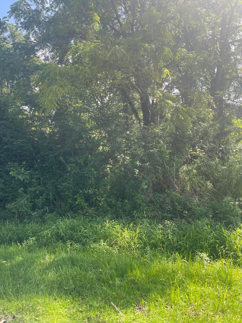 Photo of 4411 Chase Street, Gary, IN 46408 (MLS # 843949)