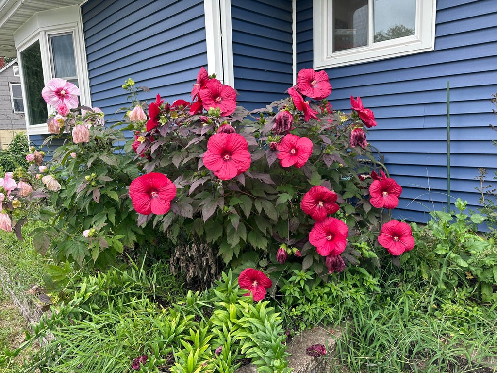 Photo of 2489 Spencer Street, Lake Station, IN 46405 (MLS # 846468)