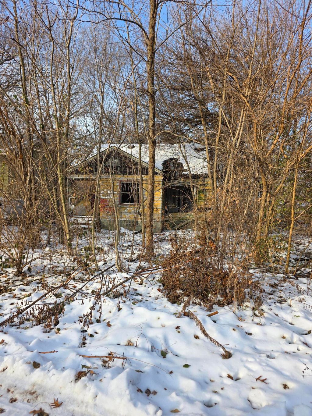 Photo of 1012-16 Wyoming Street, Gary, IN 46403 (MLS # 831961)