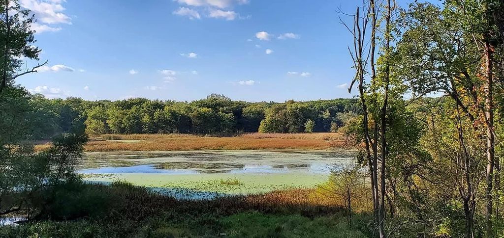 Photo of 1130 Lakeview Drive, Hobart, IN 46342 (MLS # 833729)