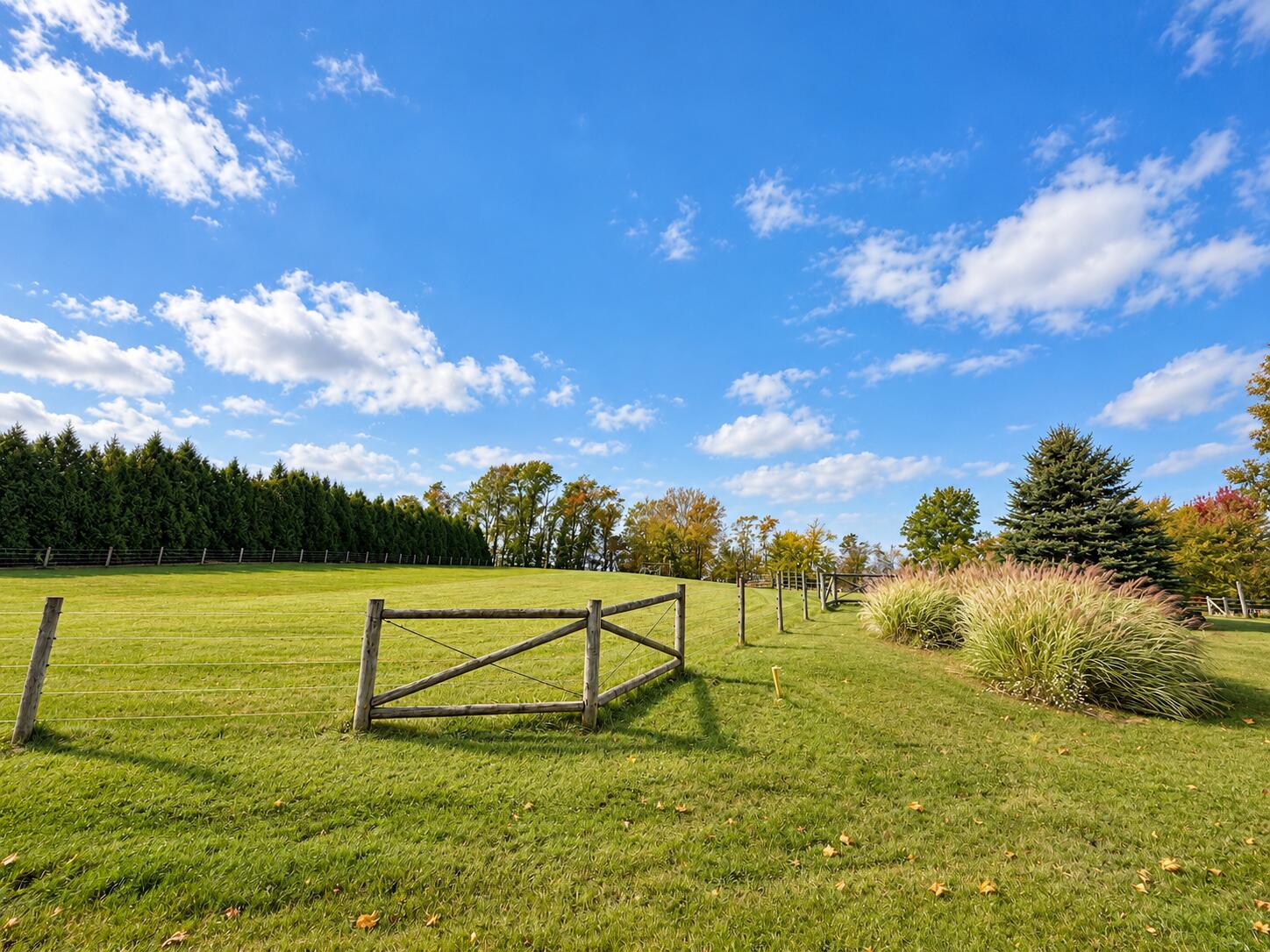 1036 Country Creek Lane