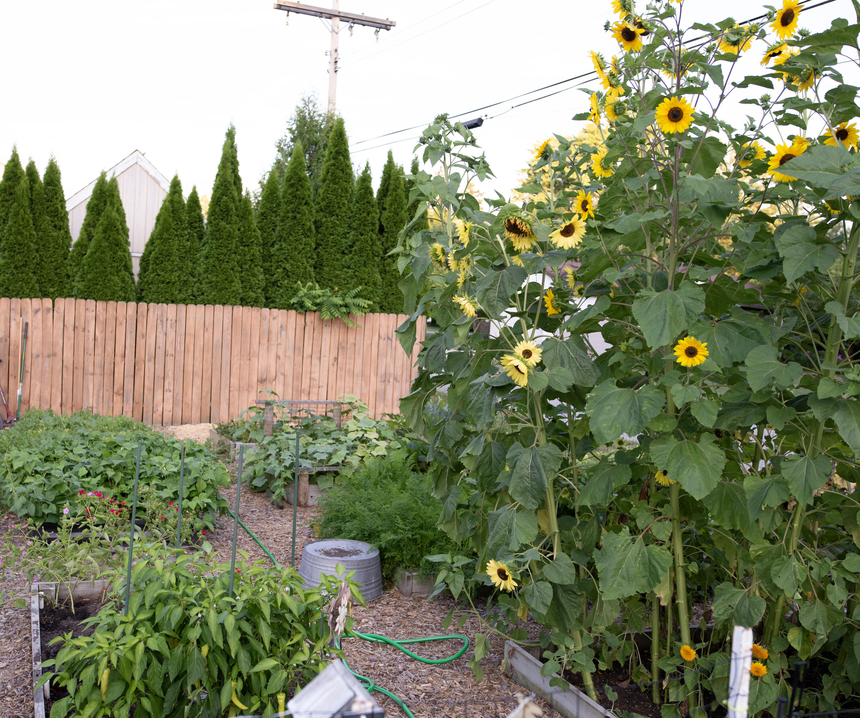 Kouts, Indiana 46347, United States, 3 Bedrooms Bedrooms, ,2 BathroomsBathrooms,Residential,Active,96262