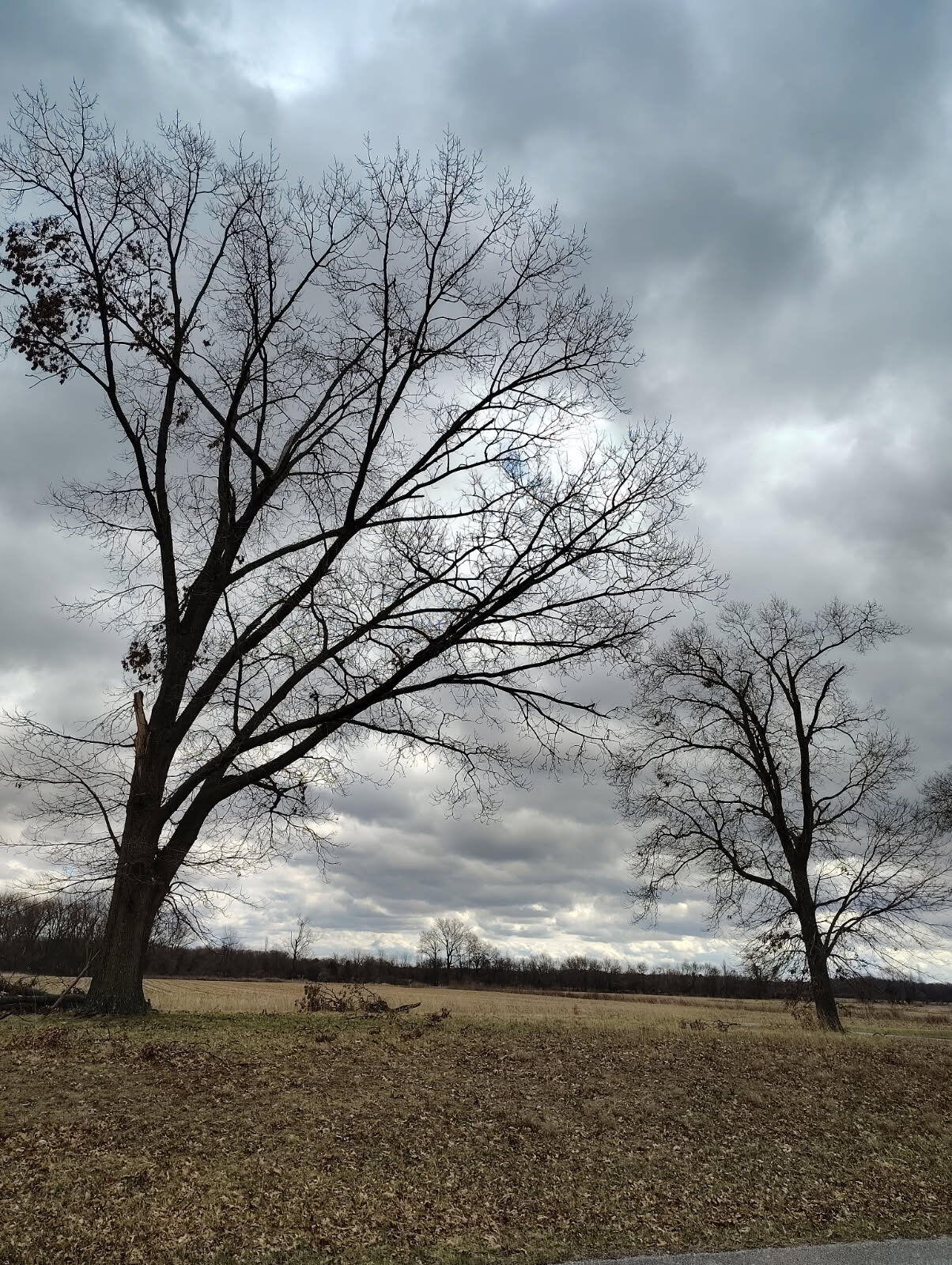 Knox, Indiana 46534, United States, ,Land,Active,95846