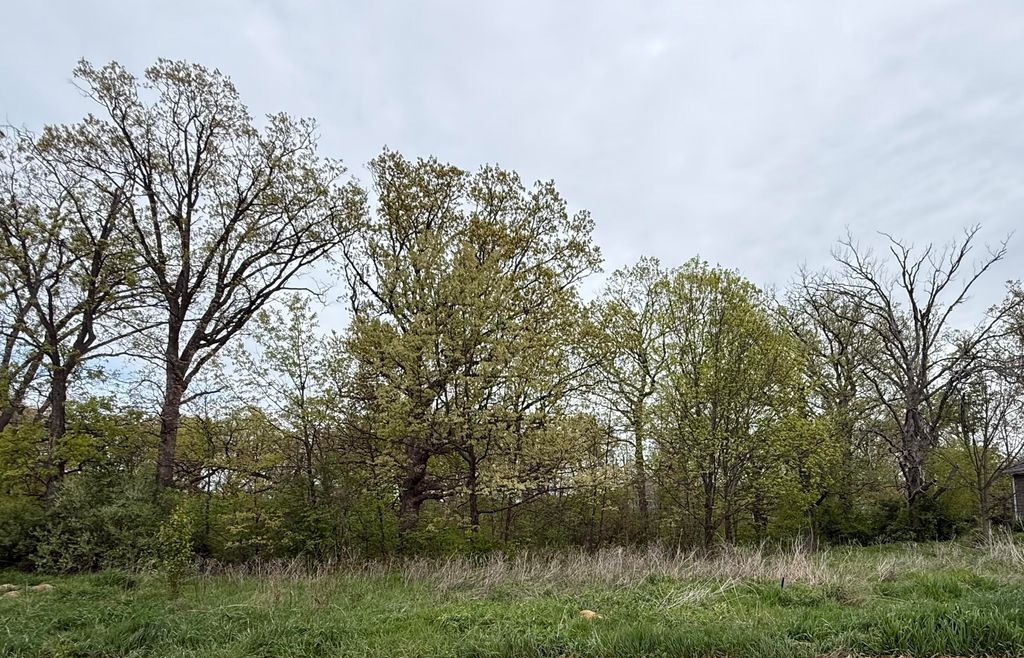 Photo of 778 Ronny Court, Crown Point, IN 46307 (MLS # 838342)