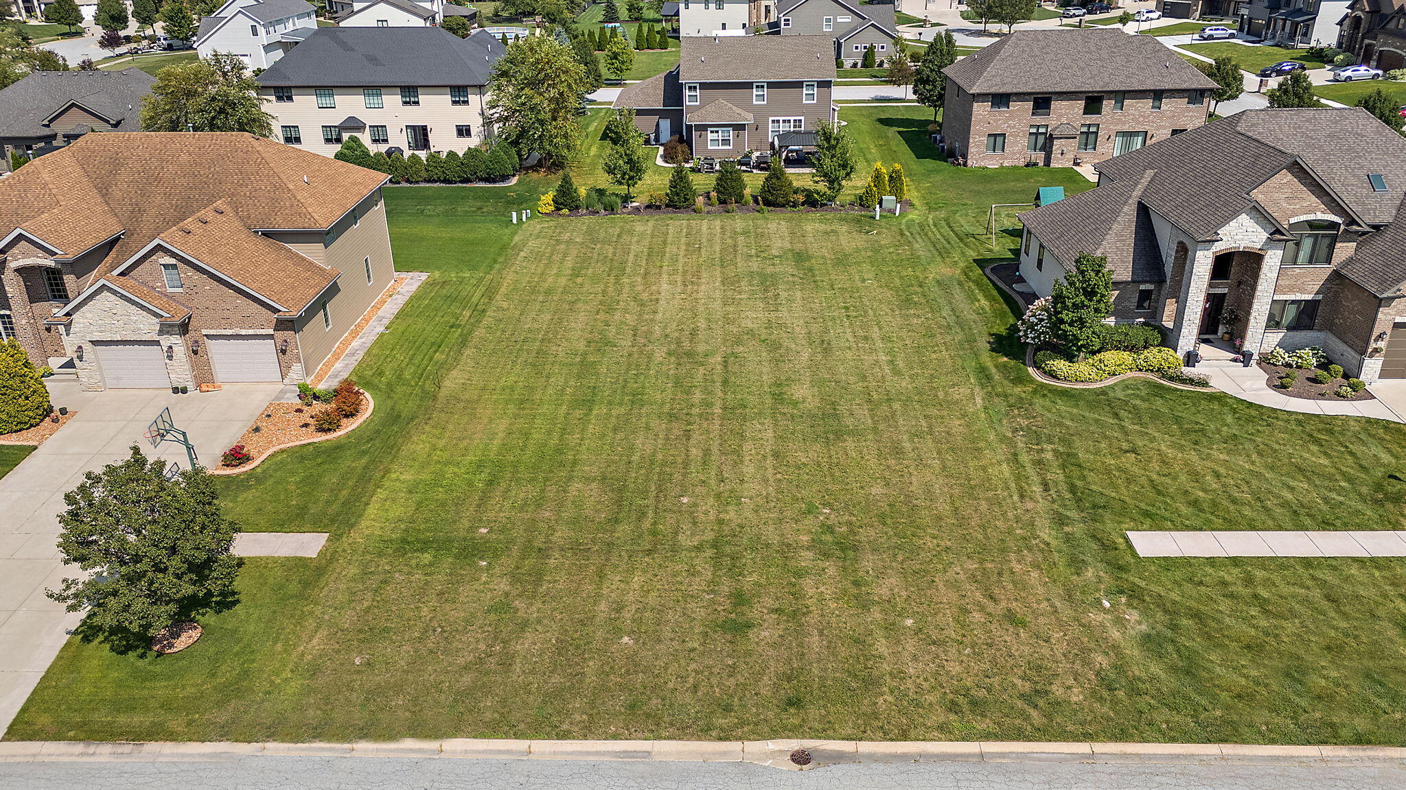 10317 Margo Lane