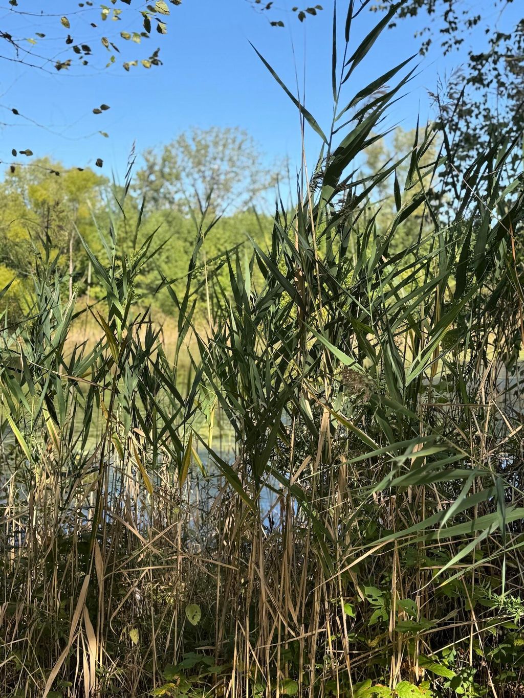 Photo of 3152 Heavilin Road, Valparaiso, IN 46385 (MLS # 833497)