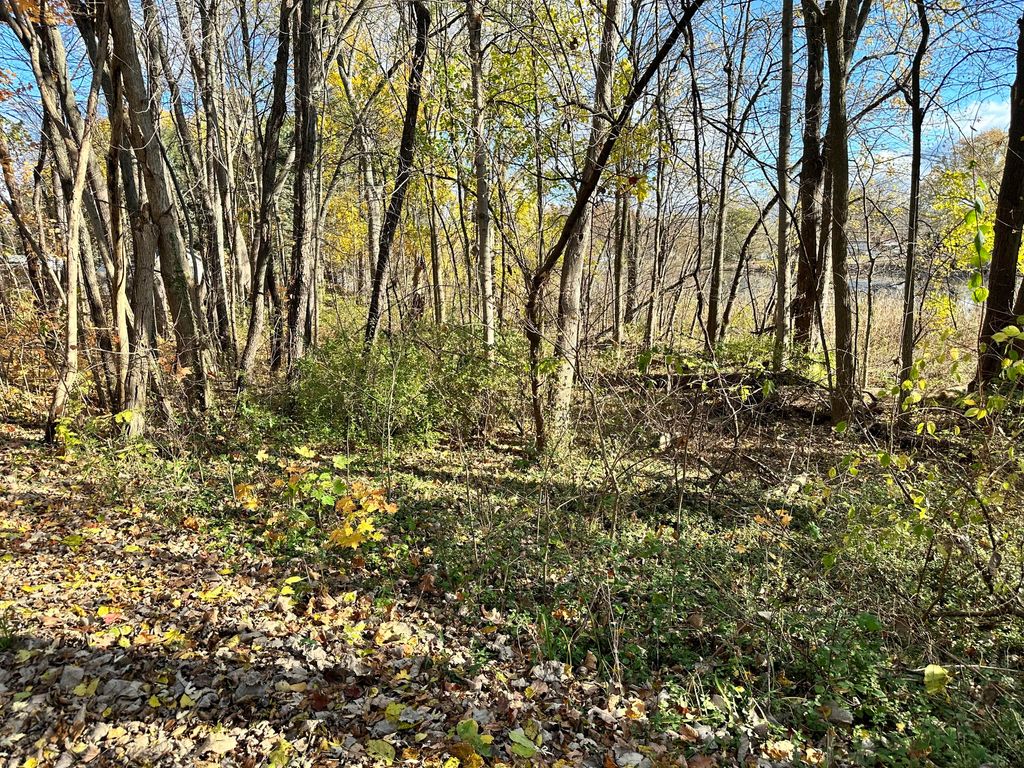 Photo of 0 N Hudson Boulevard, New Carlisle, IN 46552 (MLS # 832053)