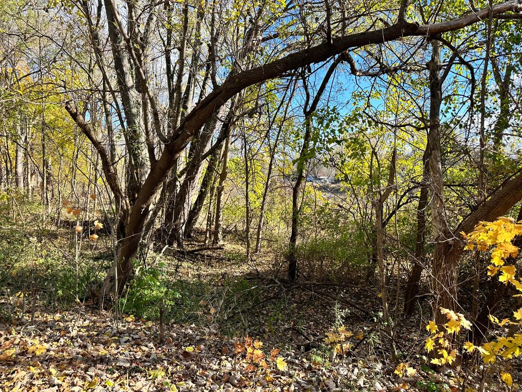 Photo of 0 N Hudson Boulevard, New Carlisle, IN 46552 (MLS # 832053)