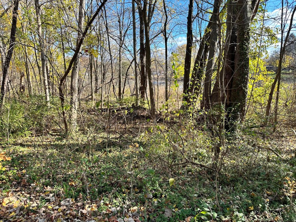 Photo of 0 N Hudson Boulevard, New Carlisle, IN 46552 (MLS # 832053)