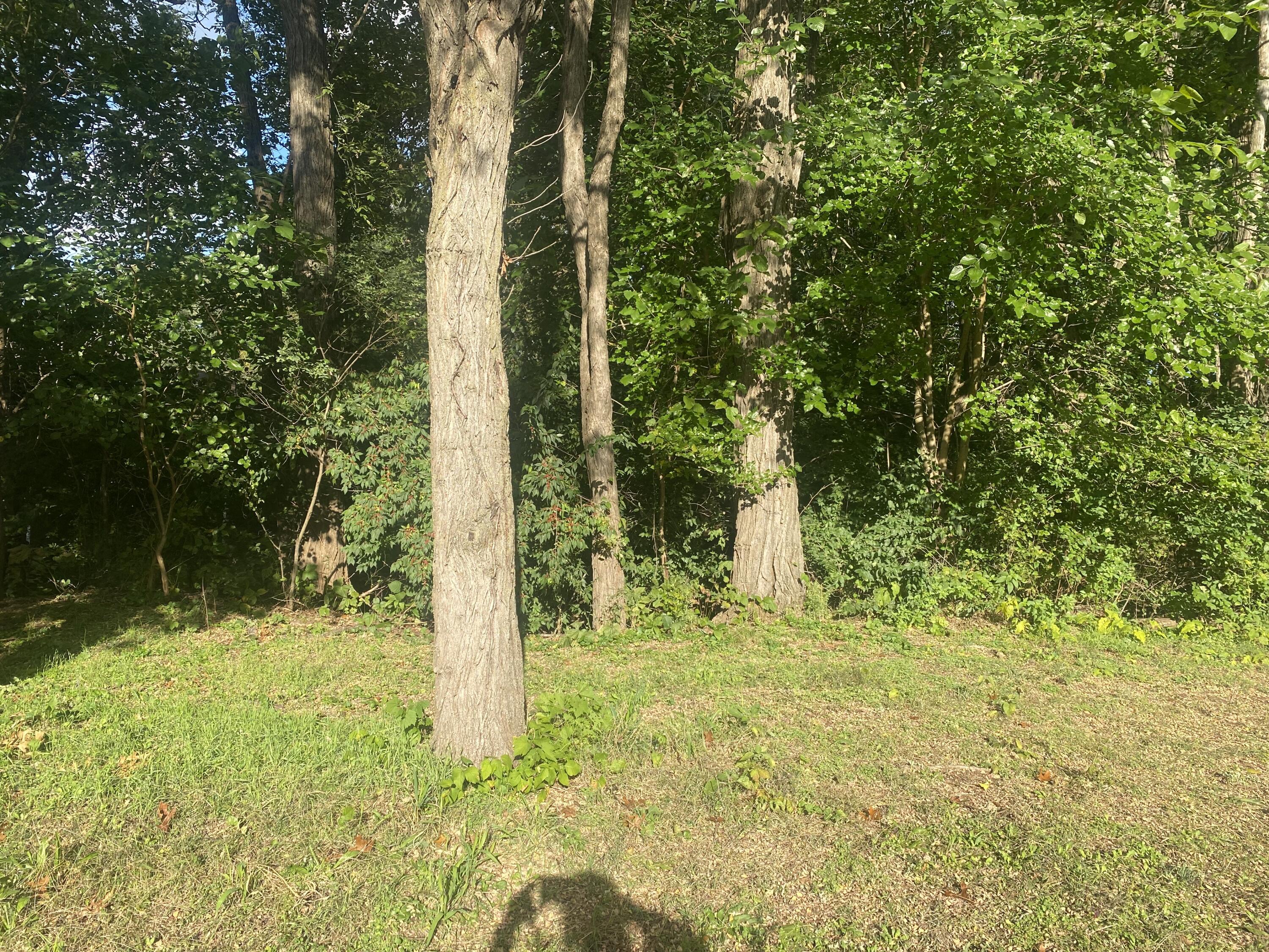 Hobart, Indiana 46342, United States, ,Land,Active,232369