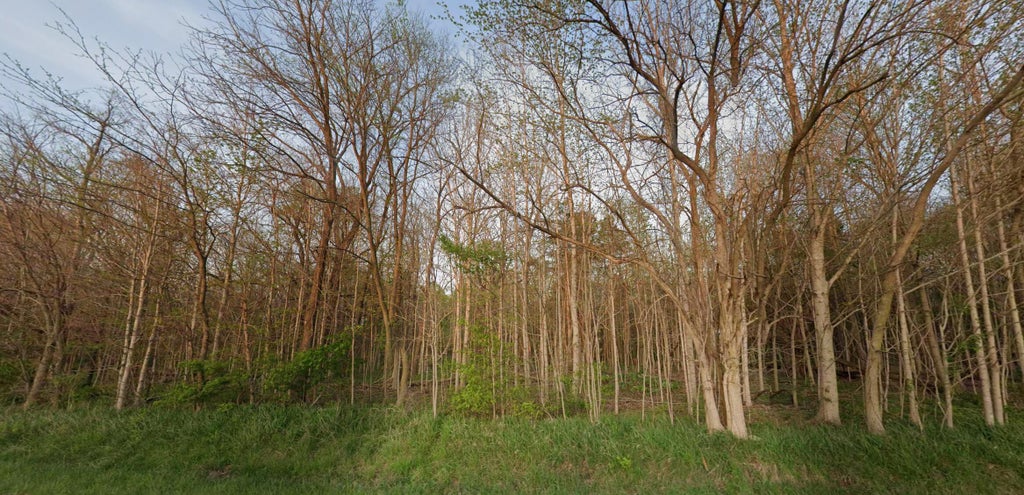 Photo of 0 S 600 E, Lagro, IN 46941 (MLS # 847164)