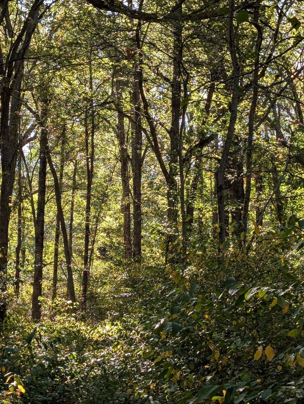 Photo of 244th Place, Schneider, IN 46376 (MLS # 831299)