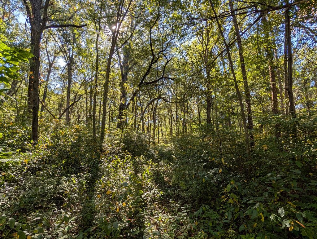 Photo of 244th Place, Schneider, IN 46376 (MLS # 831299)