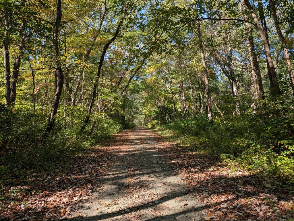 Photo of 244th Place, Schneider, IN 46376 (MLS # 831299)