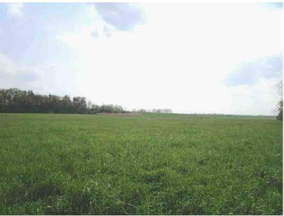 Crown Point, Indiana 46307, United States, ,Land,Active,72512